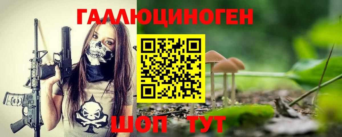 Галлюциногенные грибы мицелий Канаш